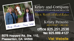 Kristy and Company Real Estate