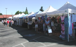 Castro Valley fall fest photo 2