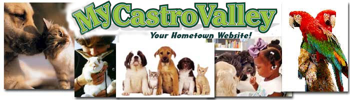 Castro Valley Pets